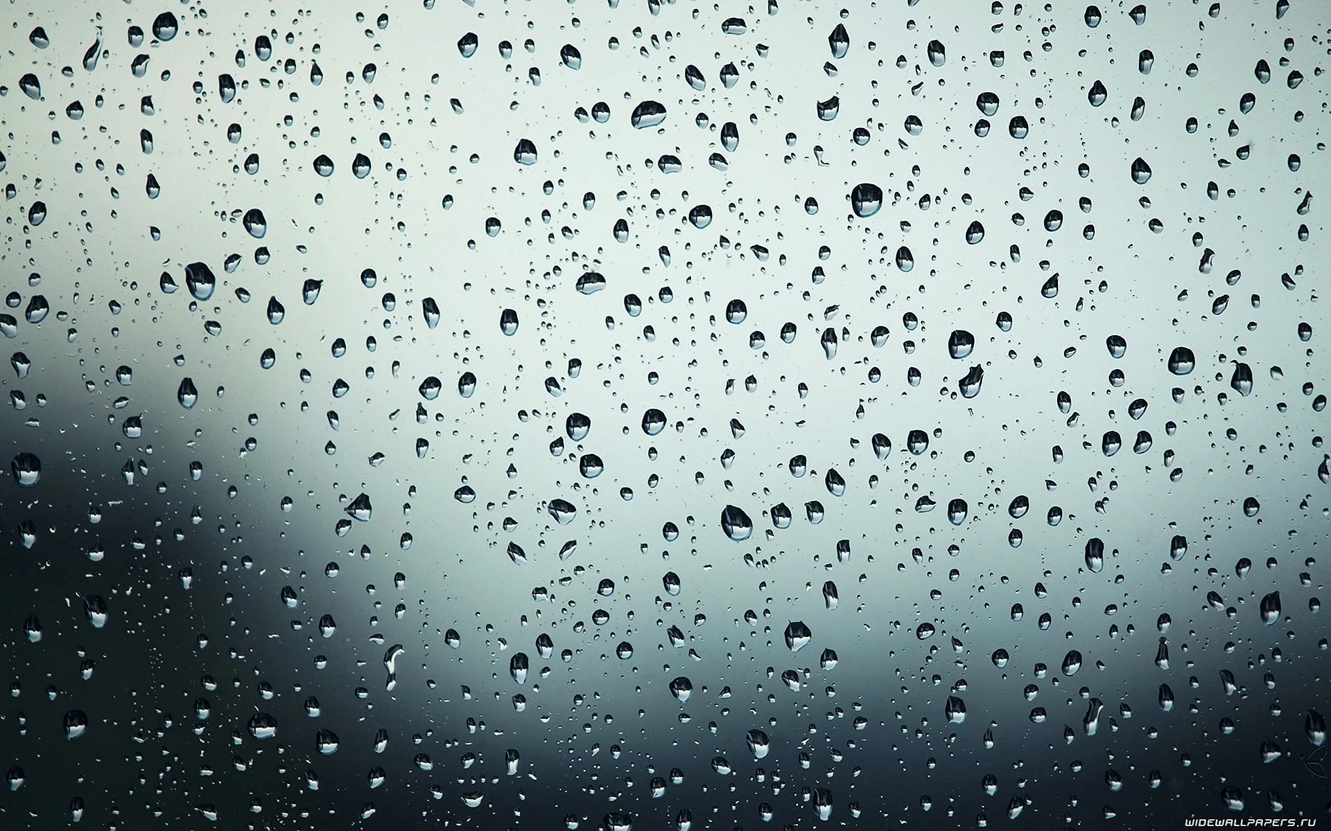 Water Drops On Glass Wallpaper