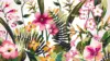 Watercolor Flower Wallpaper