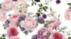 Watercolor Flower Pattern Wallpaper
