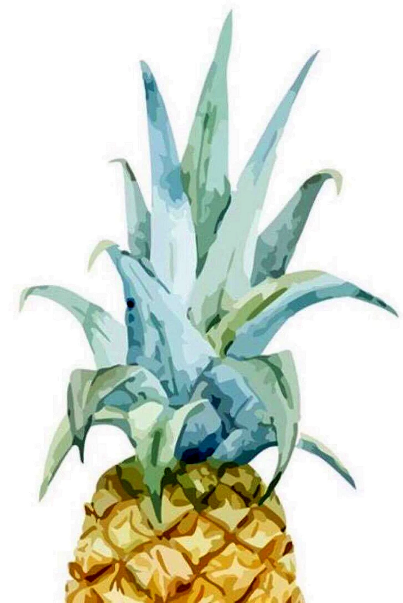 Watercolor Pineapple Wallpaper For iPhone