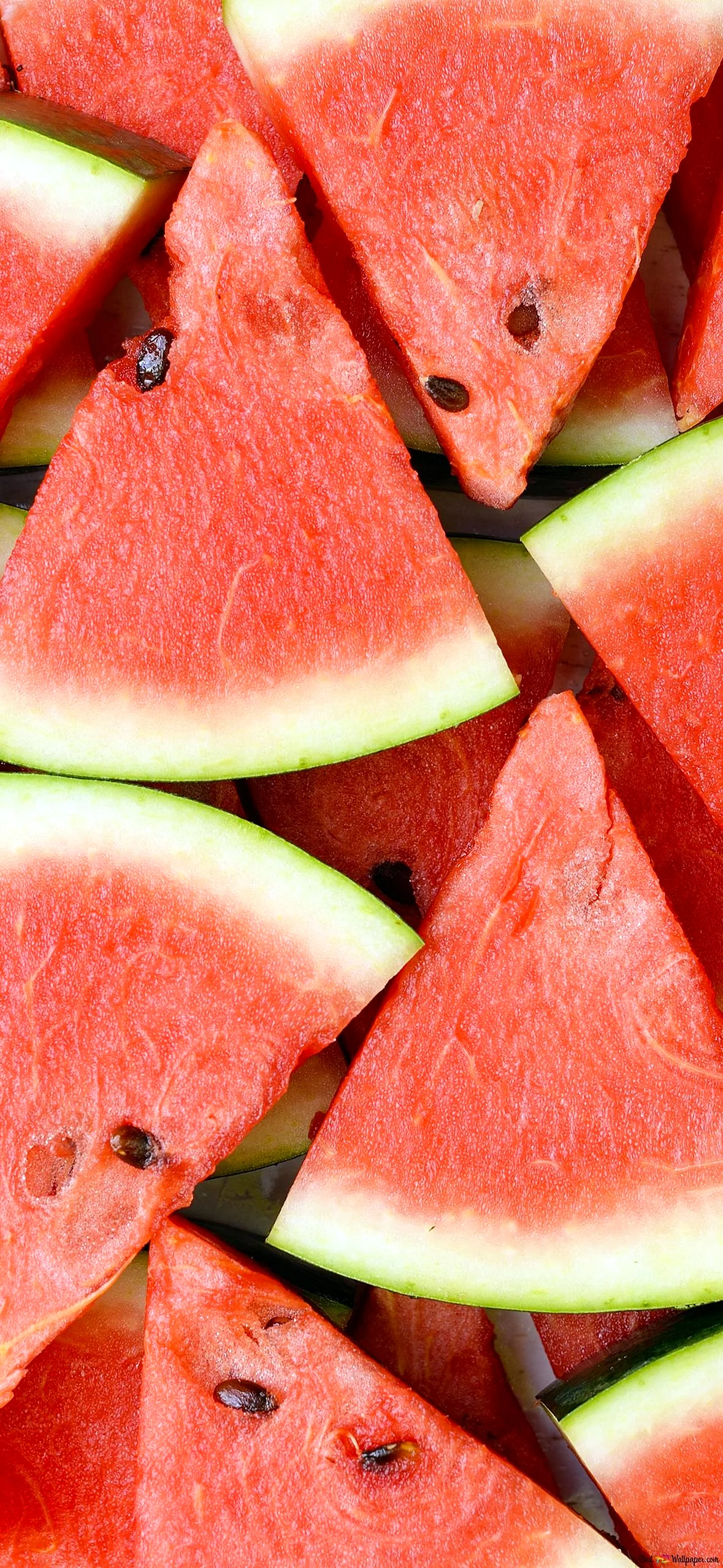 Watermelon Wallpaper for iPhone 14 Pro