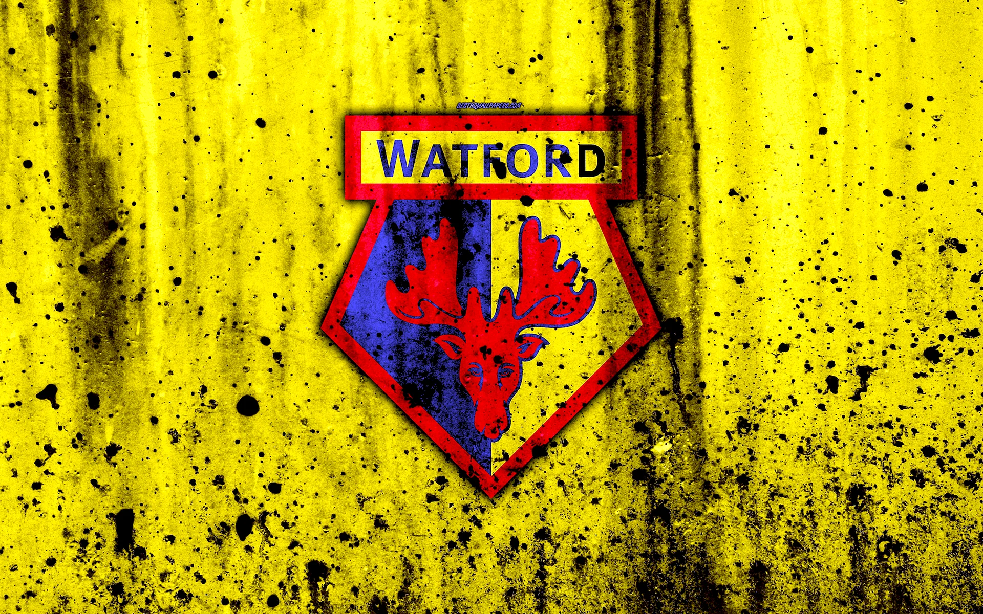 Watford Wallpaper