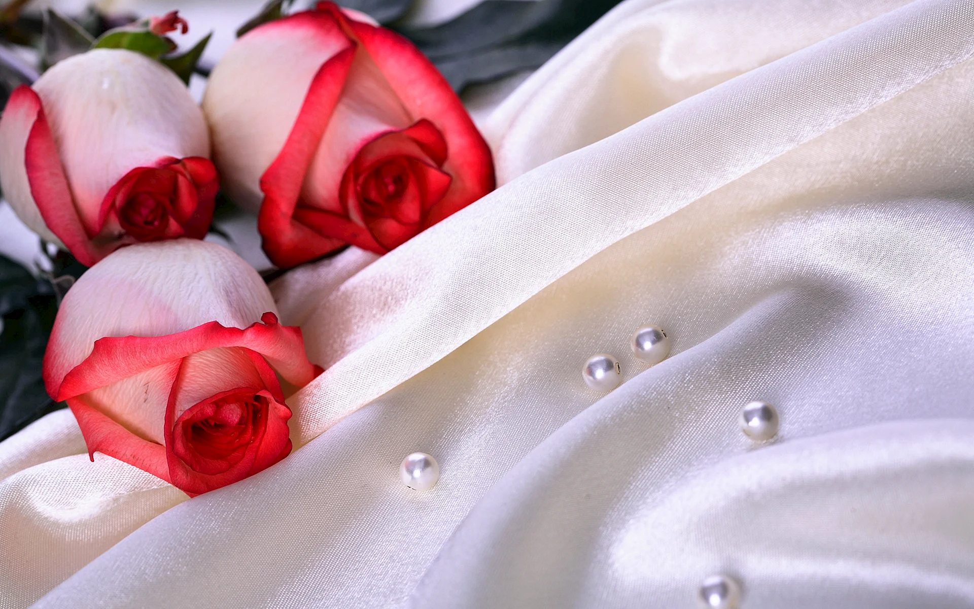 Wedding Roses Wallpaper