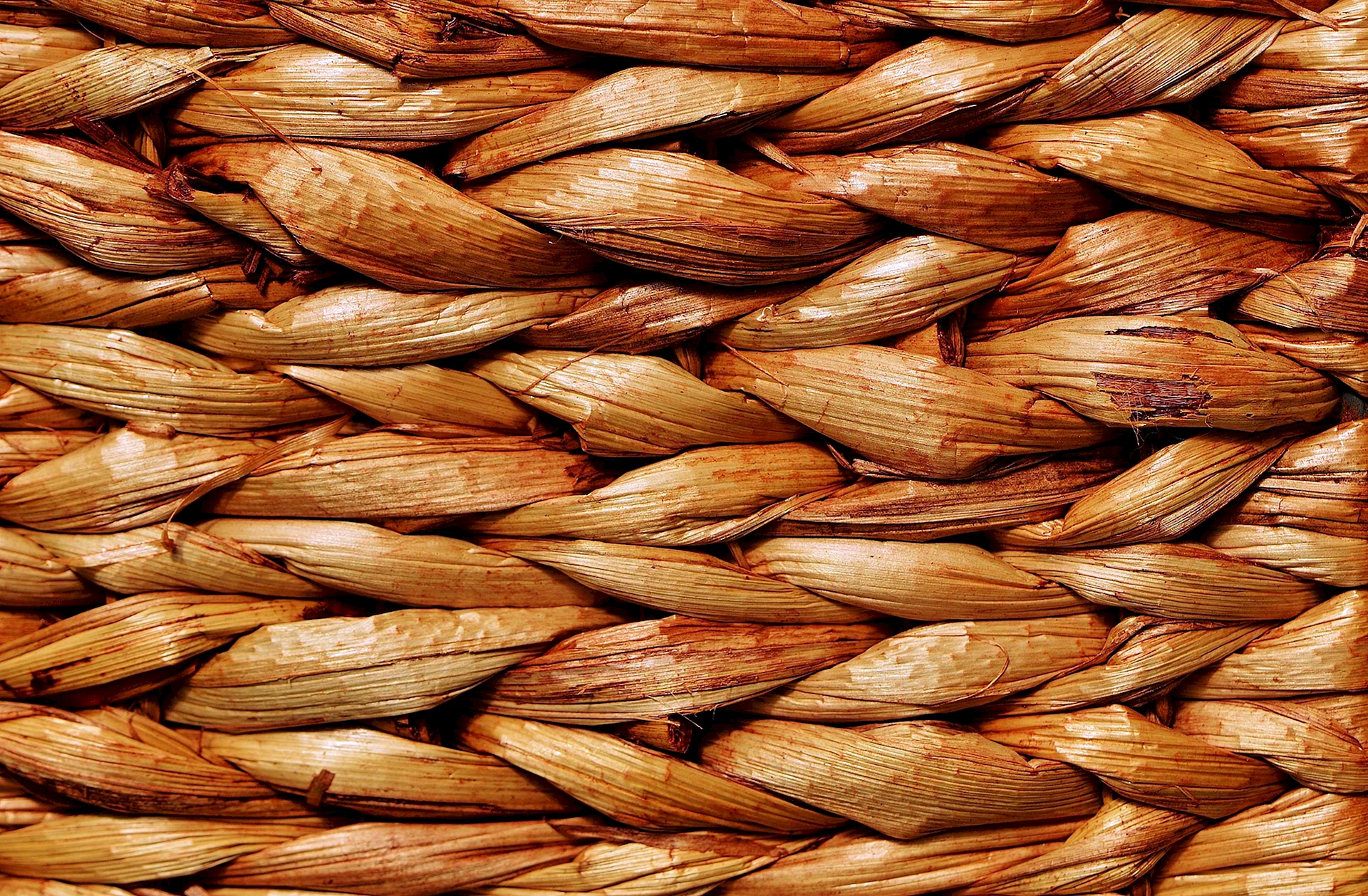 Wheat Pattern Wallpaper