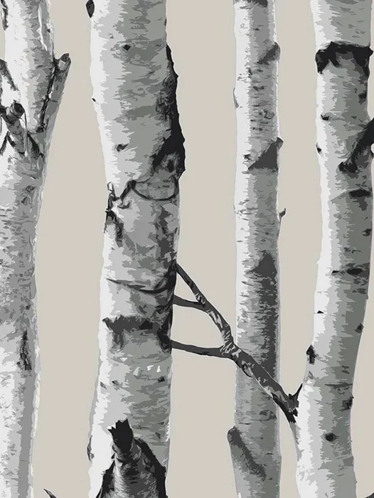 White Birch Wood Wallpaper