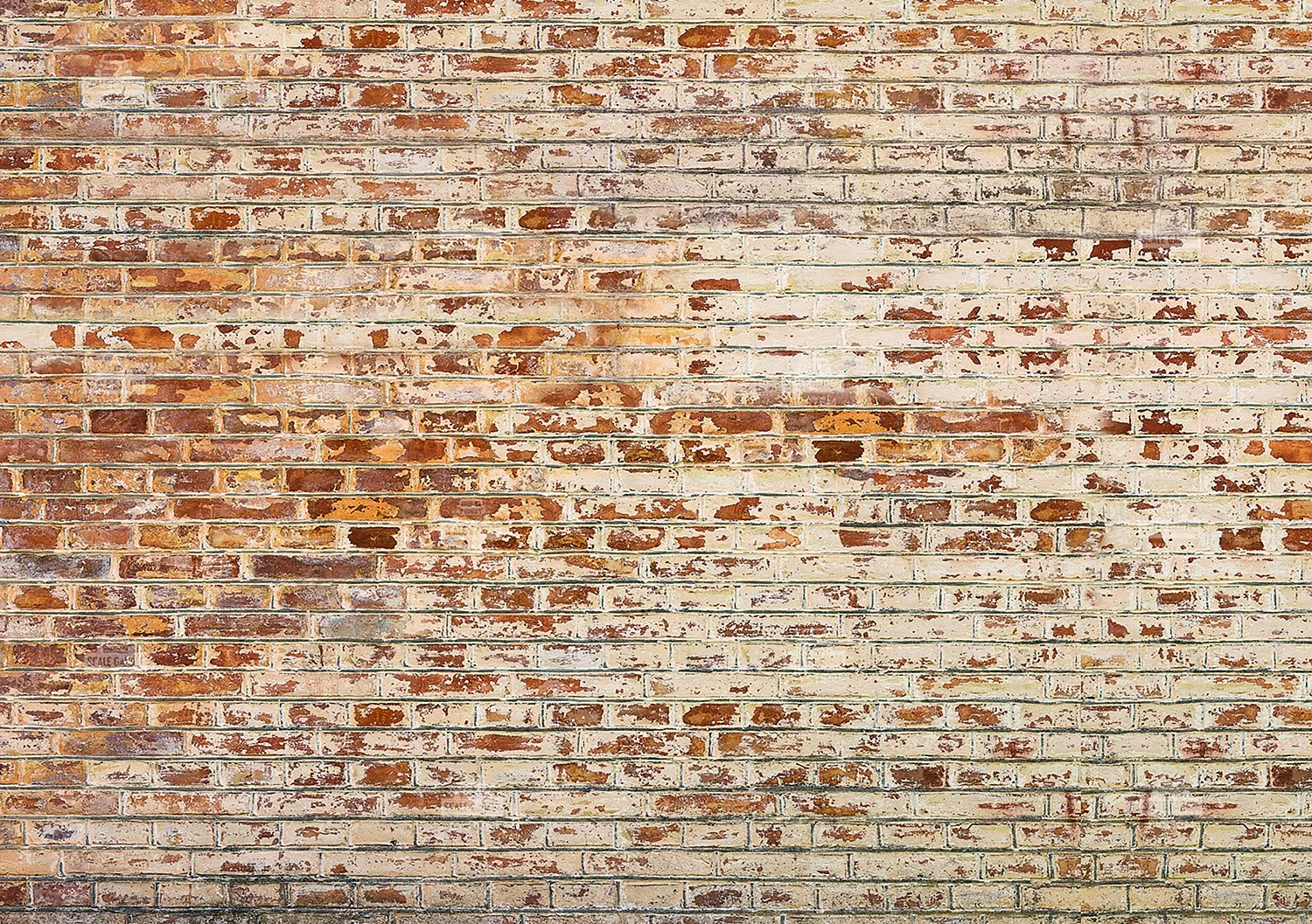 White Brick Wall Wallpaper