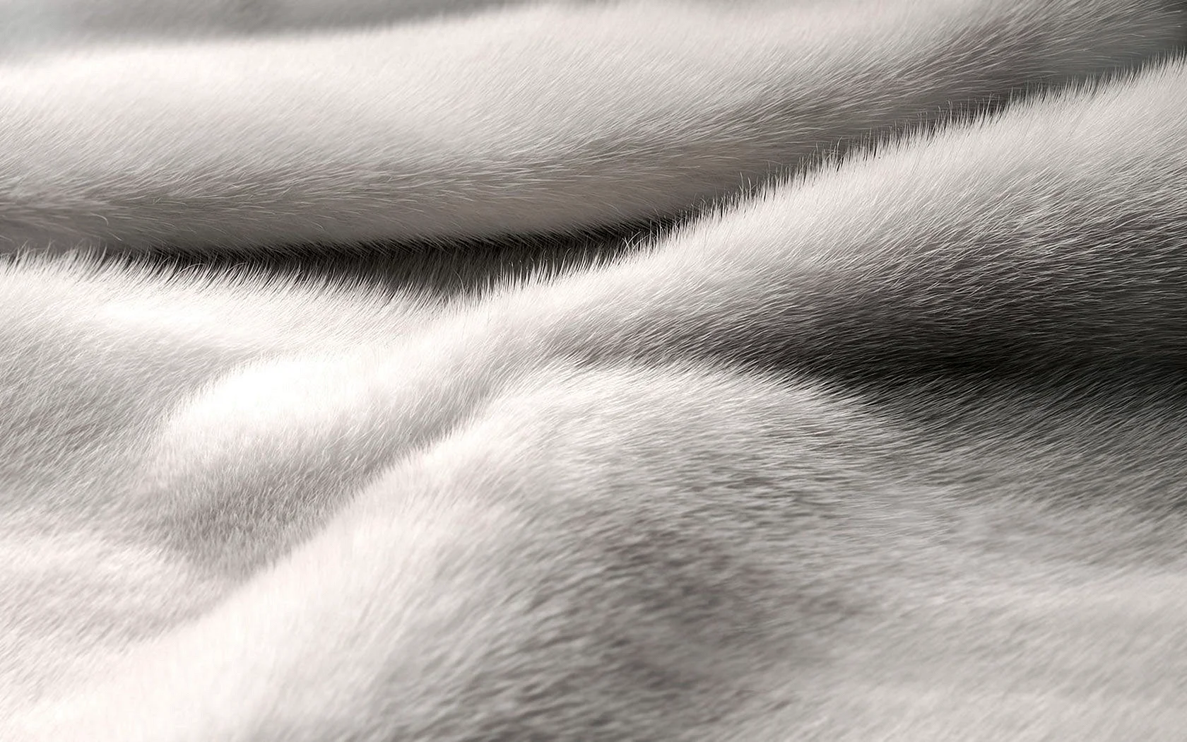 White Fur Wallpaper