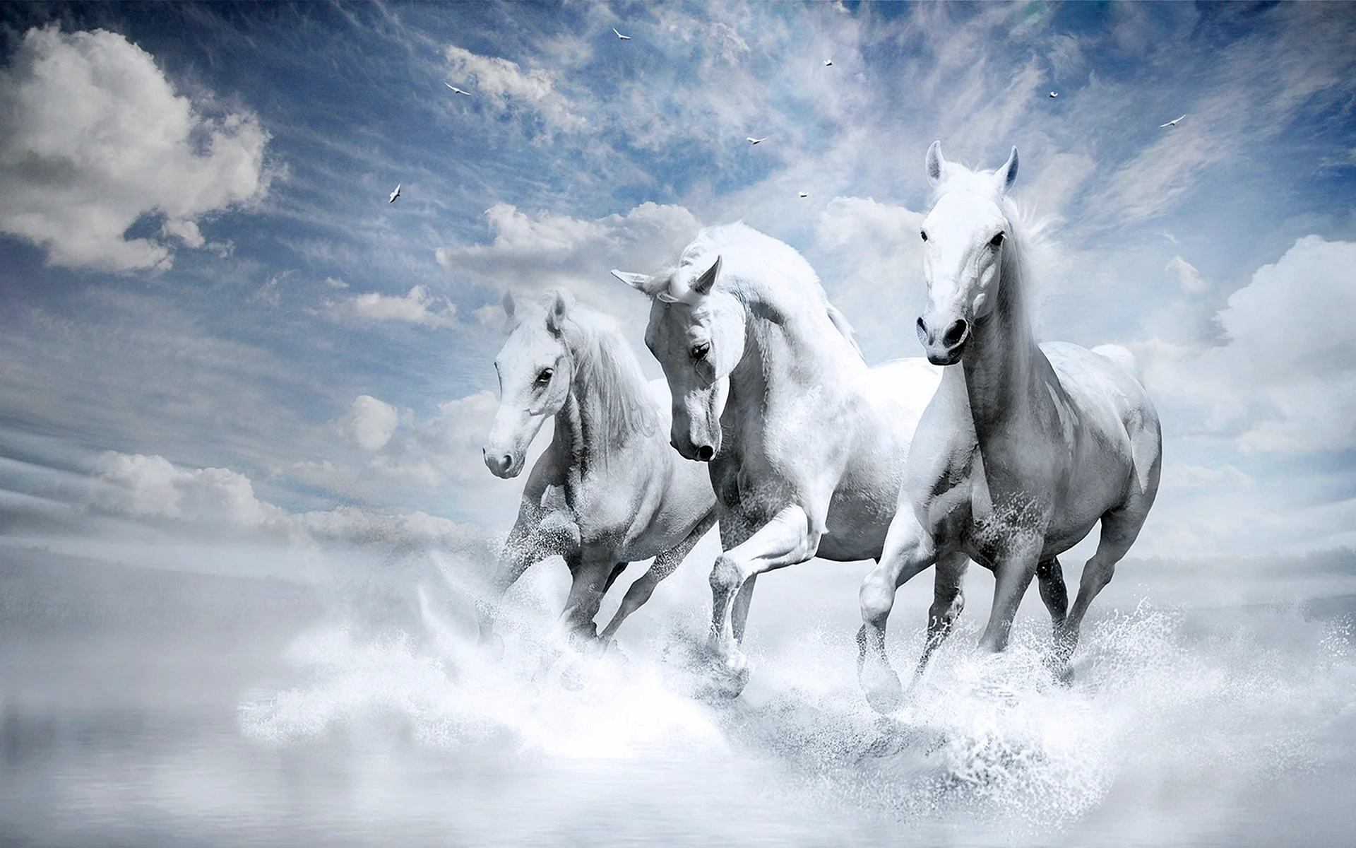 White Horse Wallpaper