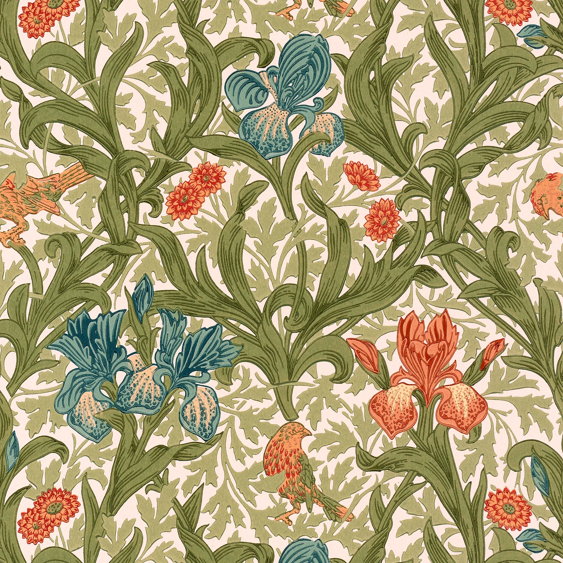 William Morris Dianthus Wallpaper