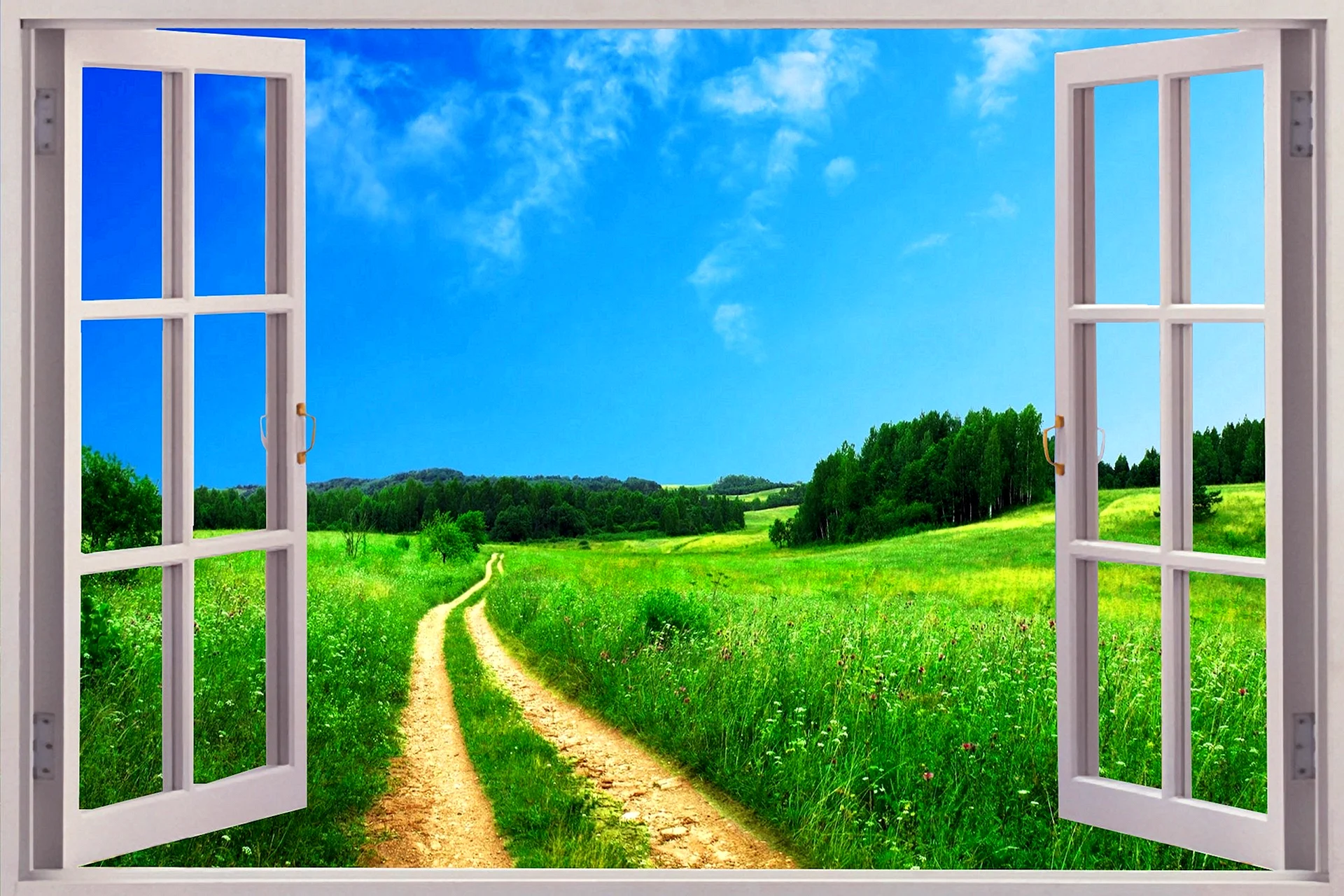 Window 3D Wallpaper