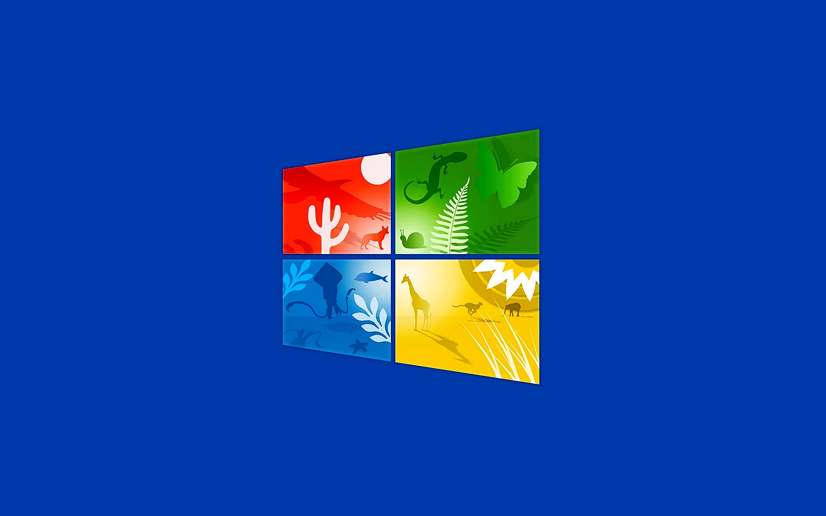 Windows 11 Wallpaper