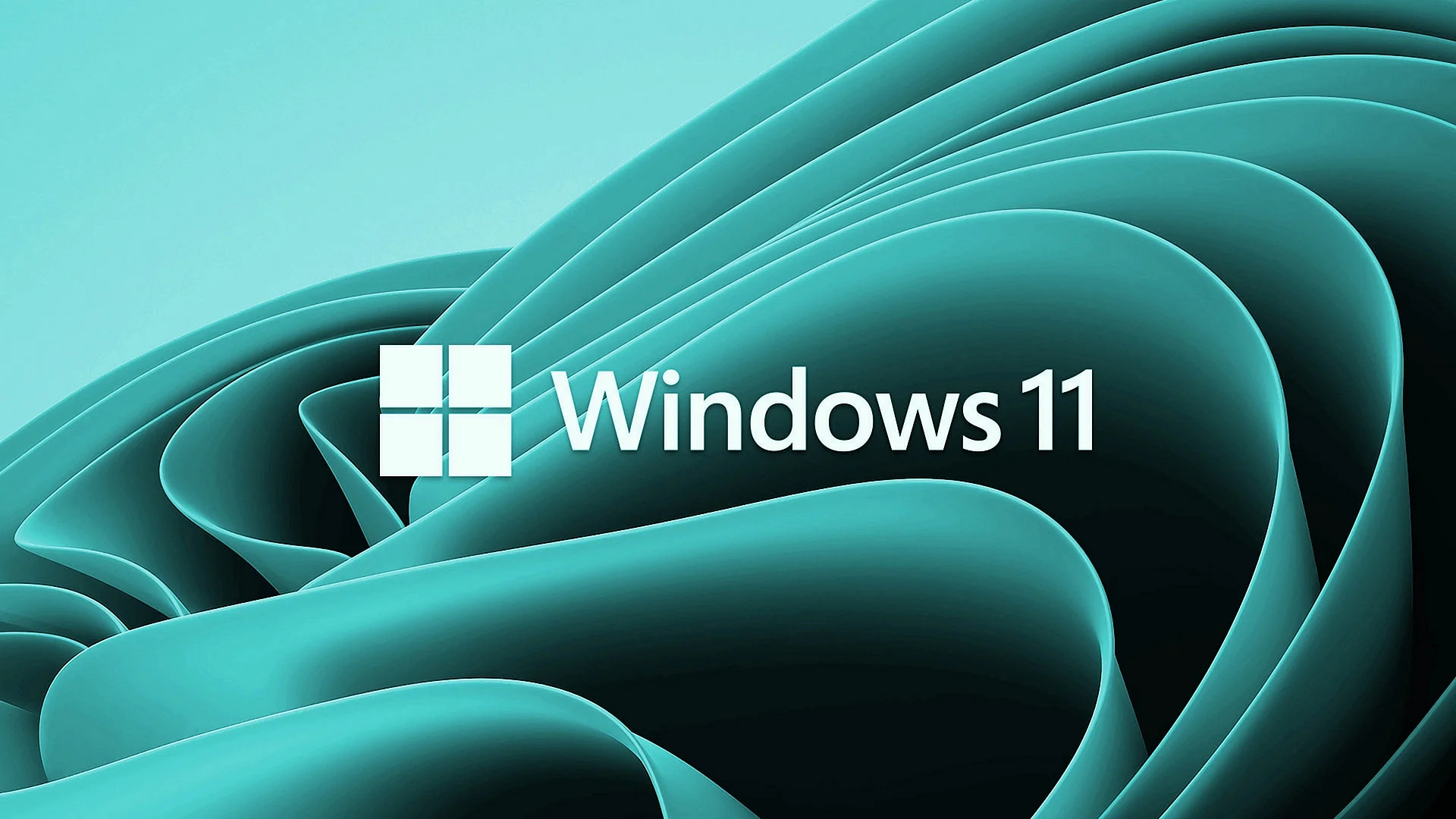 Windows 11 Wallpaper