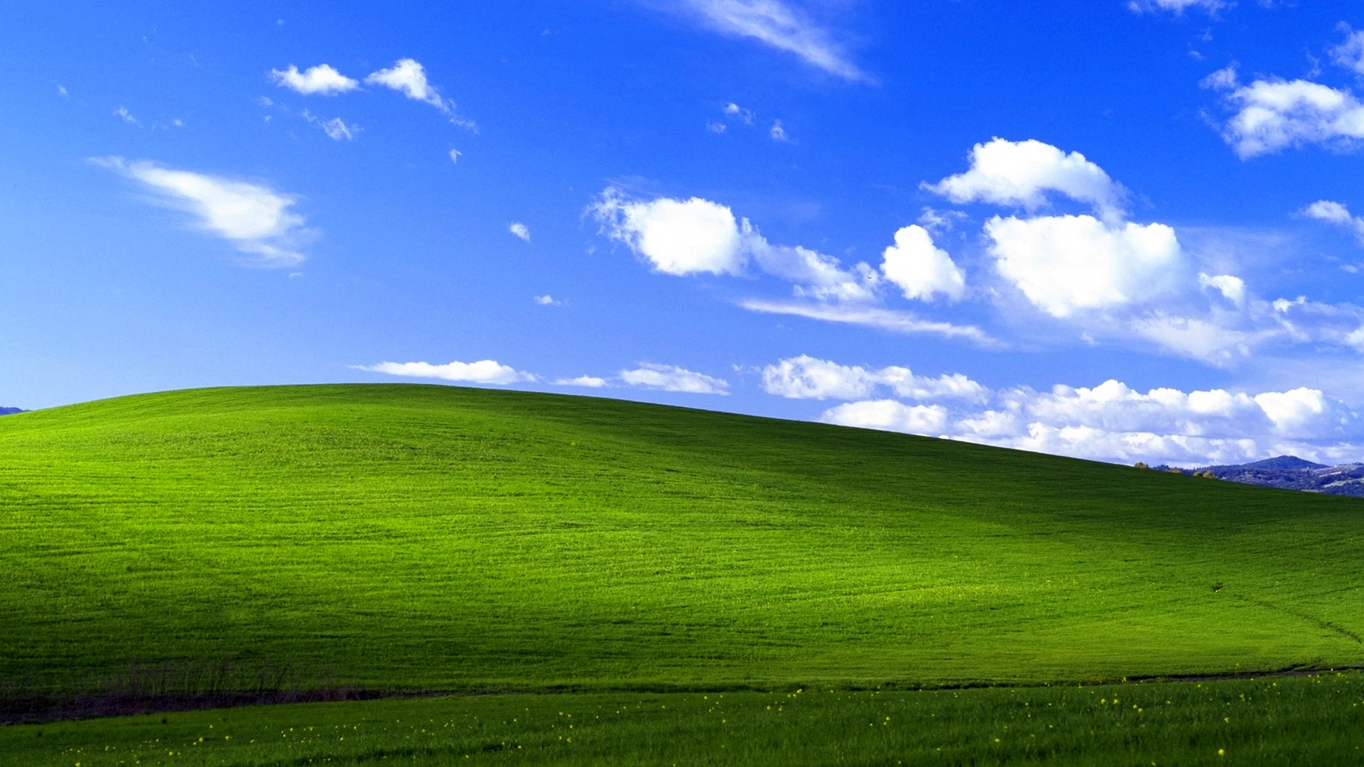 Windows Xp Wallpaper