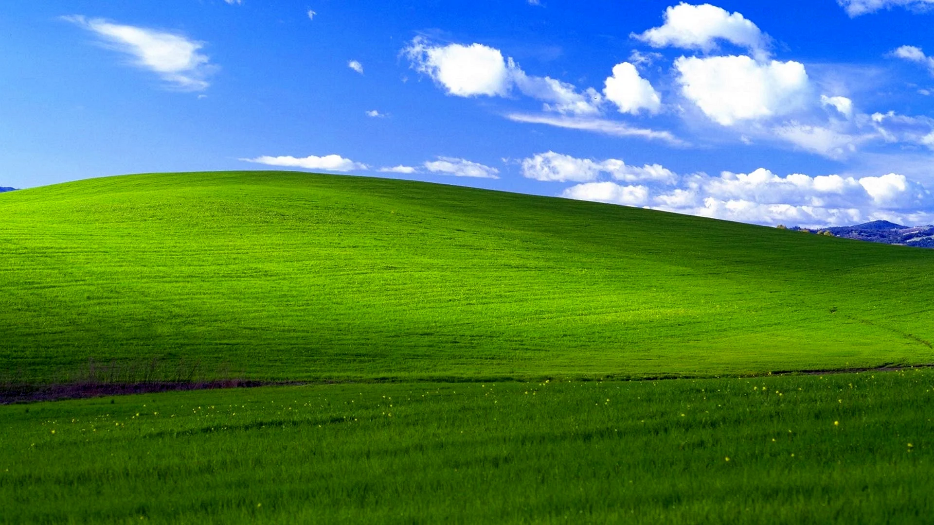 Windows Xp Wallpaper