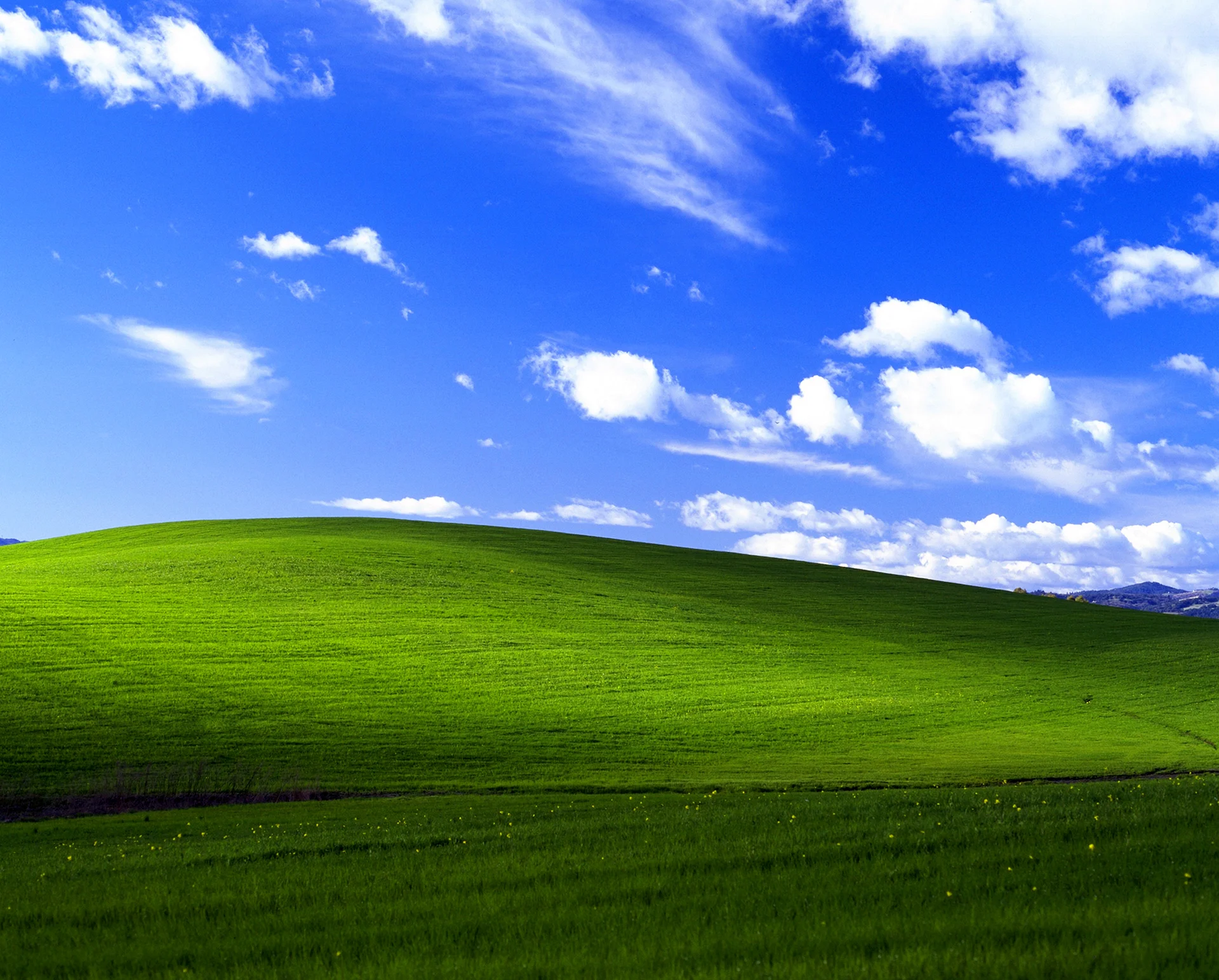 Windows Xp Wallpaper