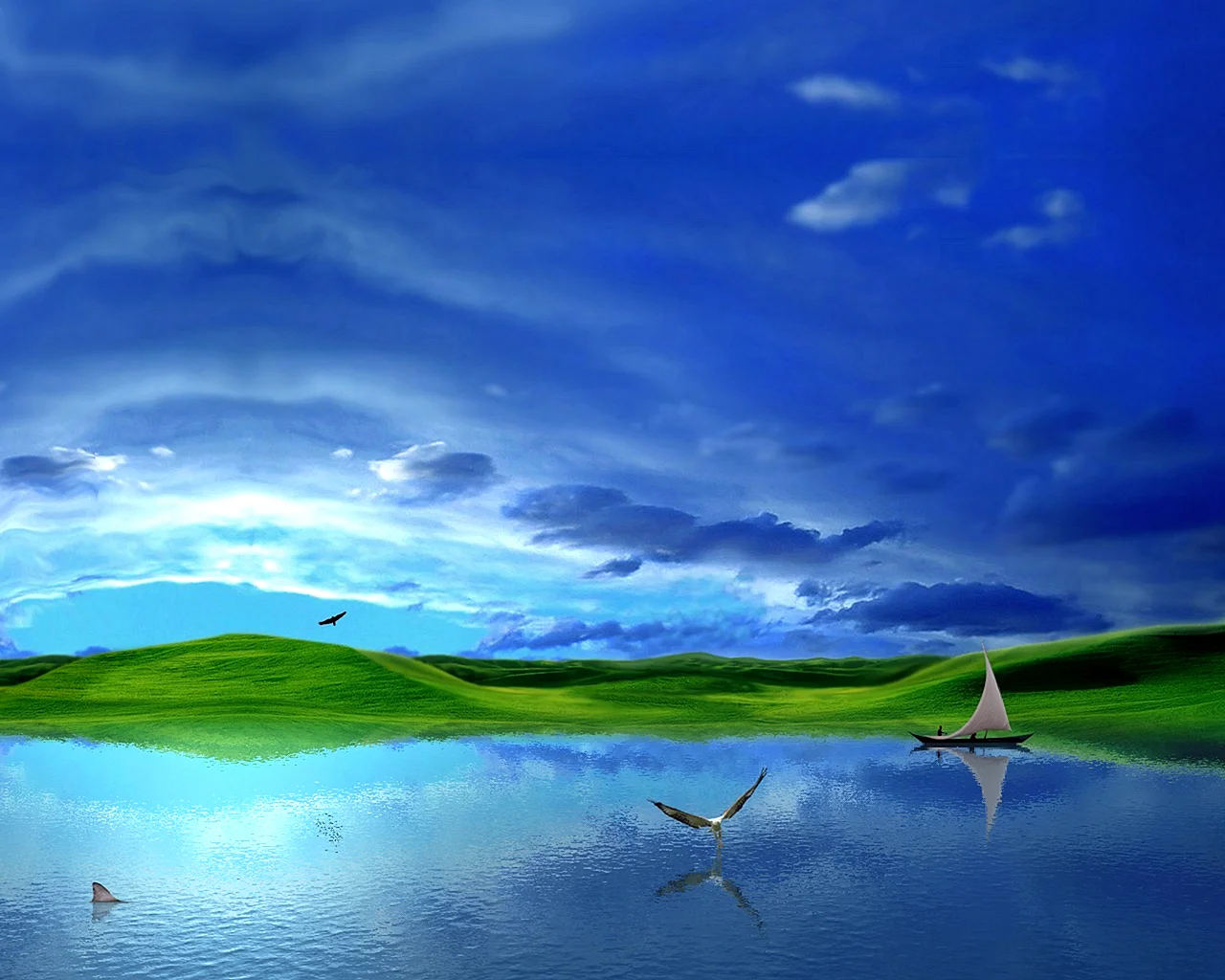 Windows Xp Zver Wallpaper