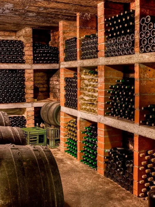 Wine Cellar Wallpaper