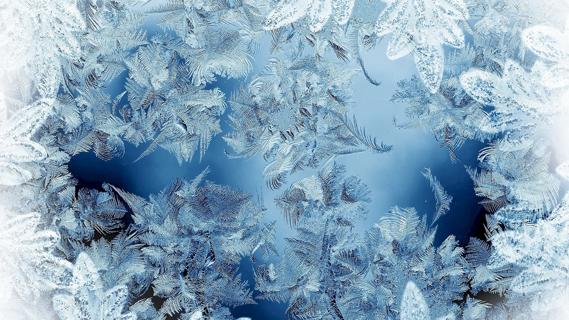 Winter Background Wallpaper