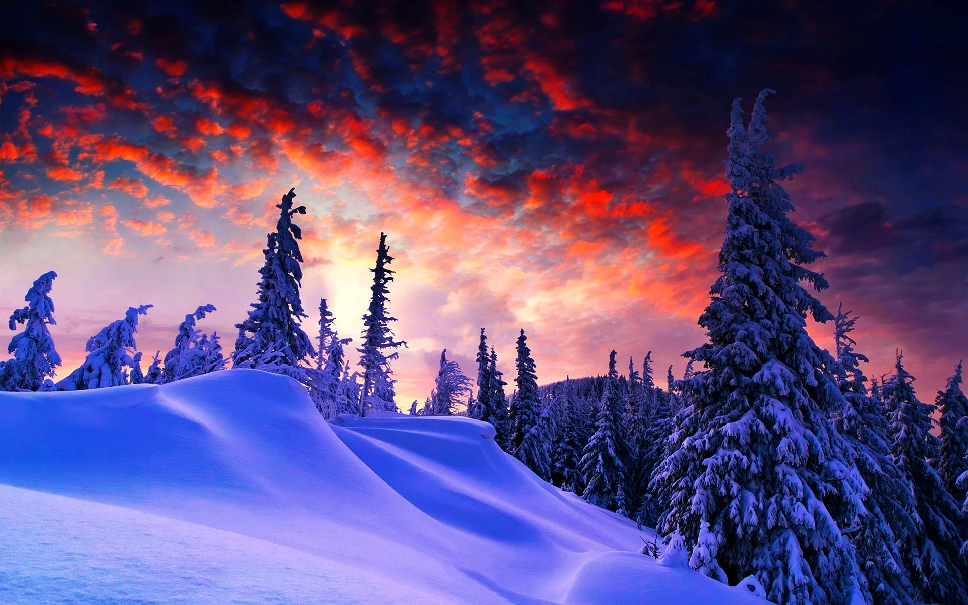 Winter Background Wallpaper