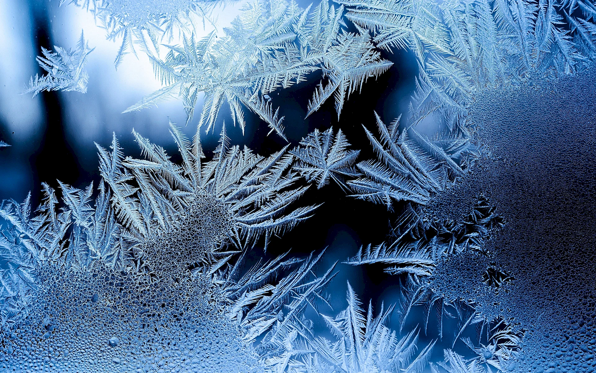 Winter Frost Wallpaper