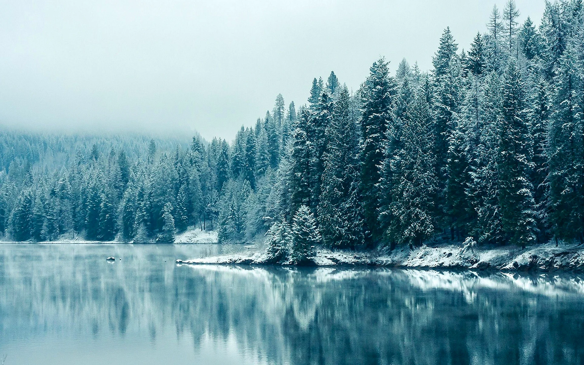 Winter Lake Wallpaper