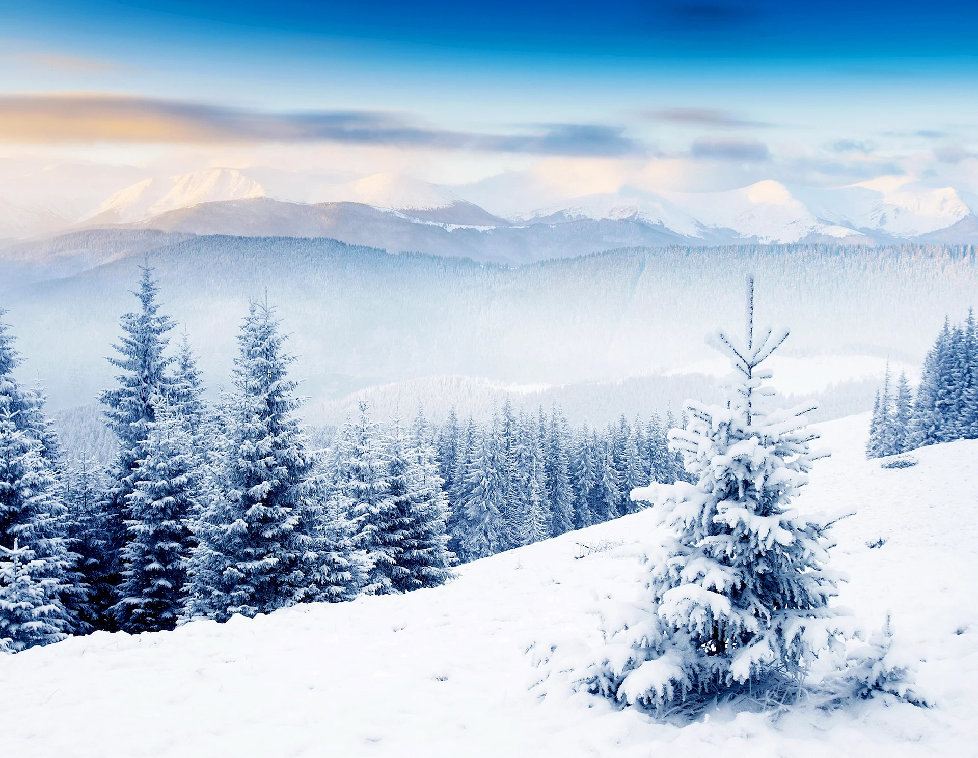 Winter Landscape Wallpaper