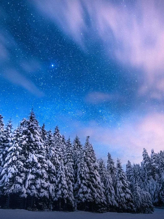 Winter Landscape Night Wallpaper