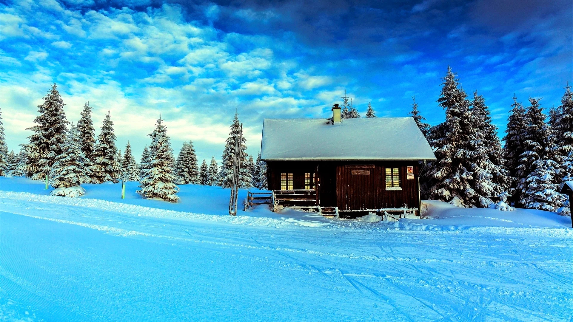 Winter Nature Wallpaper