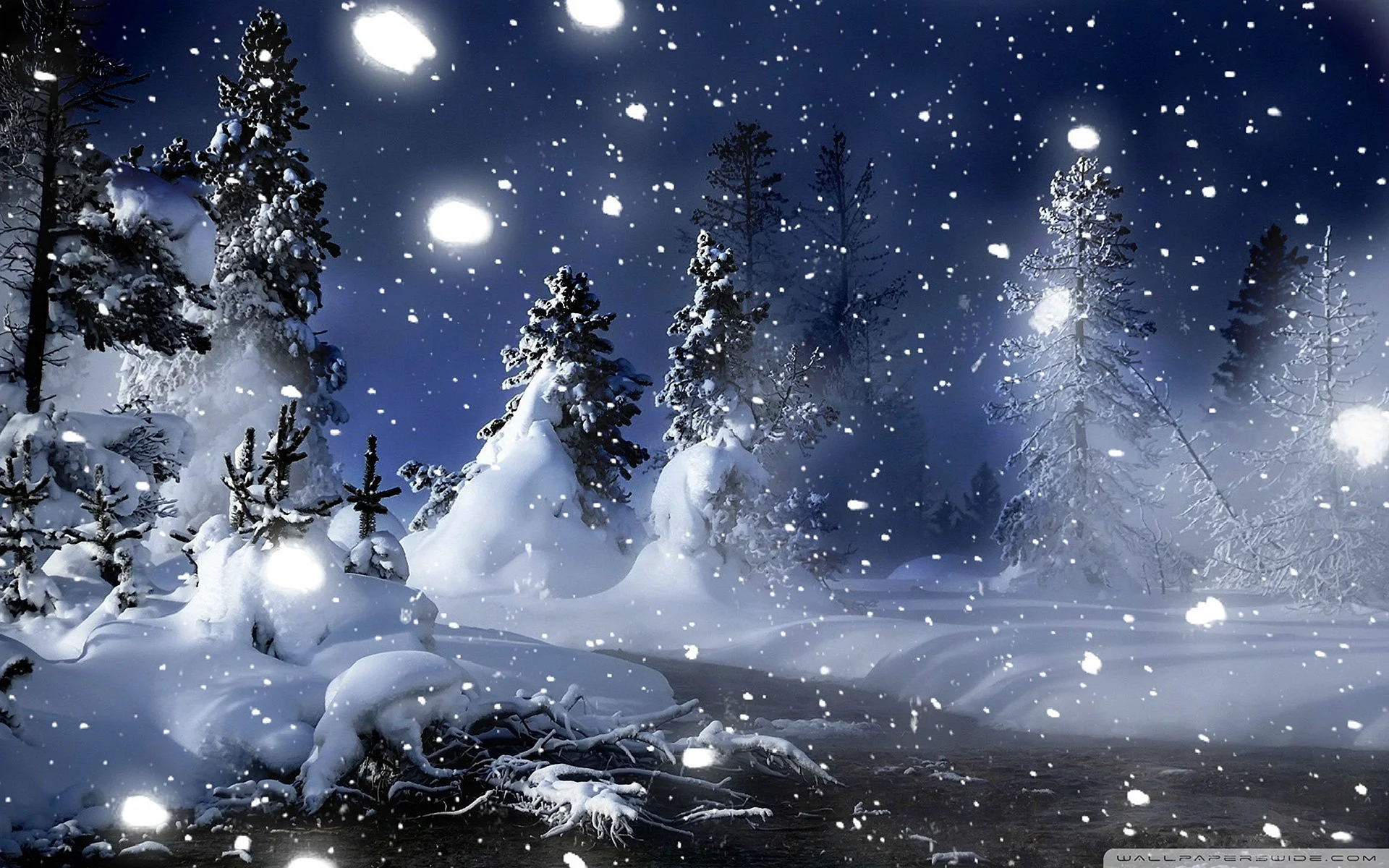 Winter Night Wallpaper