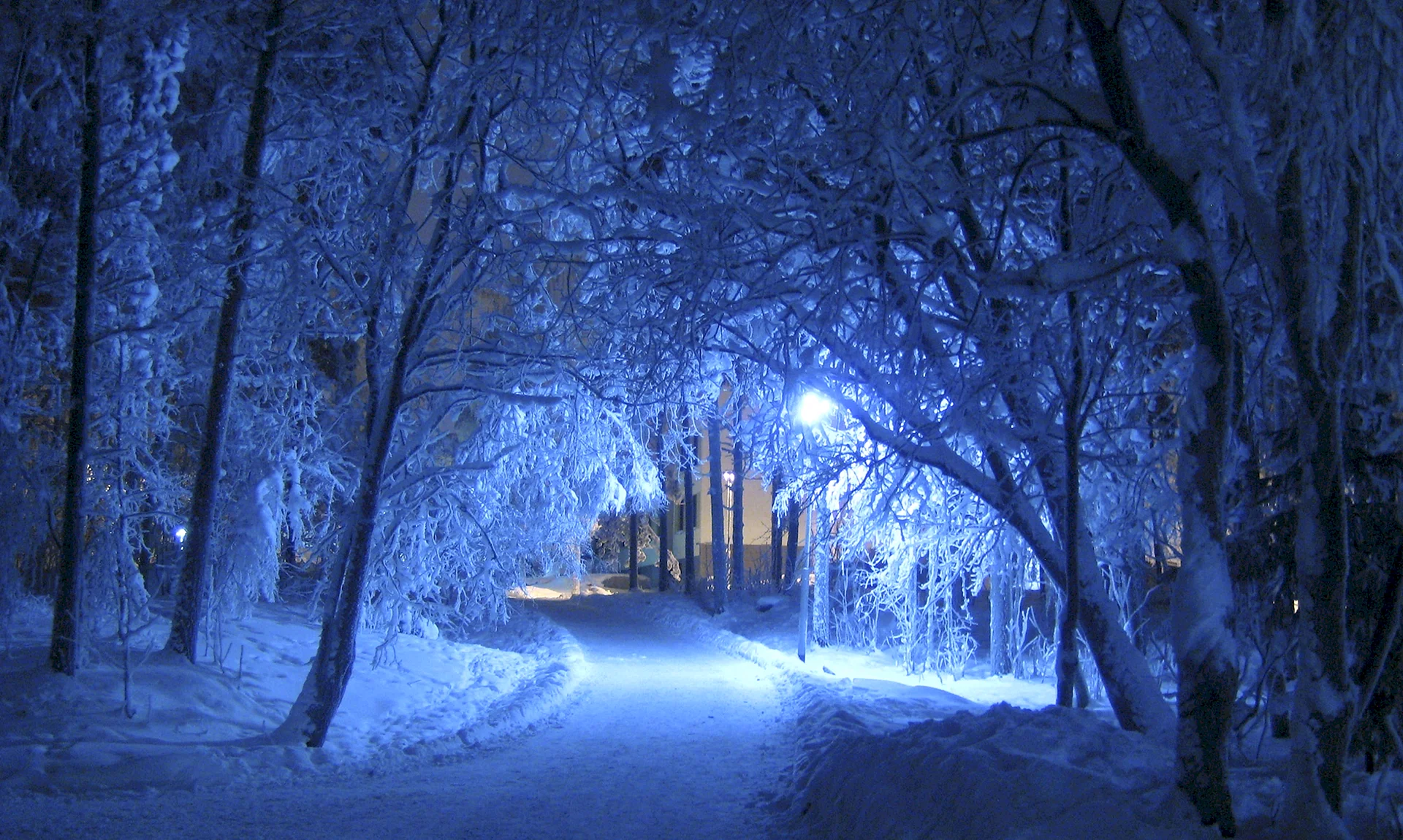 Winter Night Wallpaper