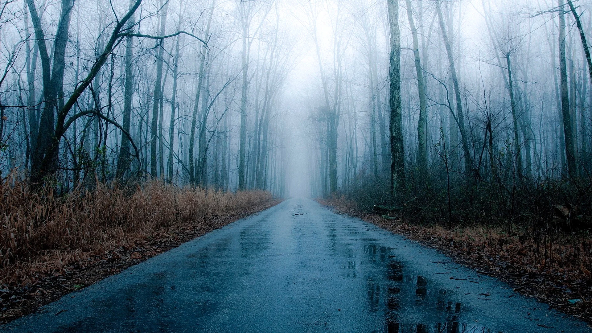 Winter Rain Wallpaper