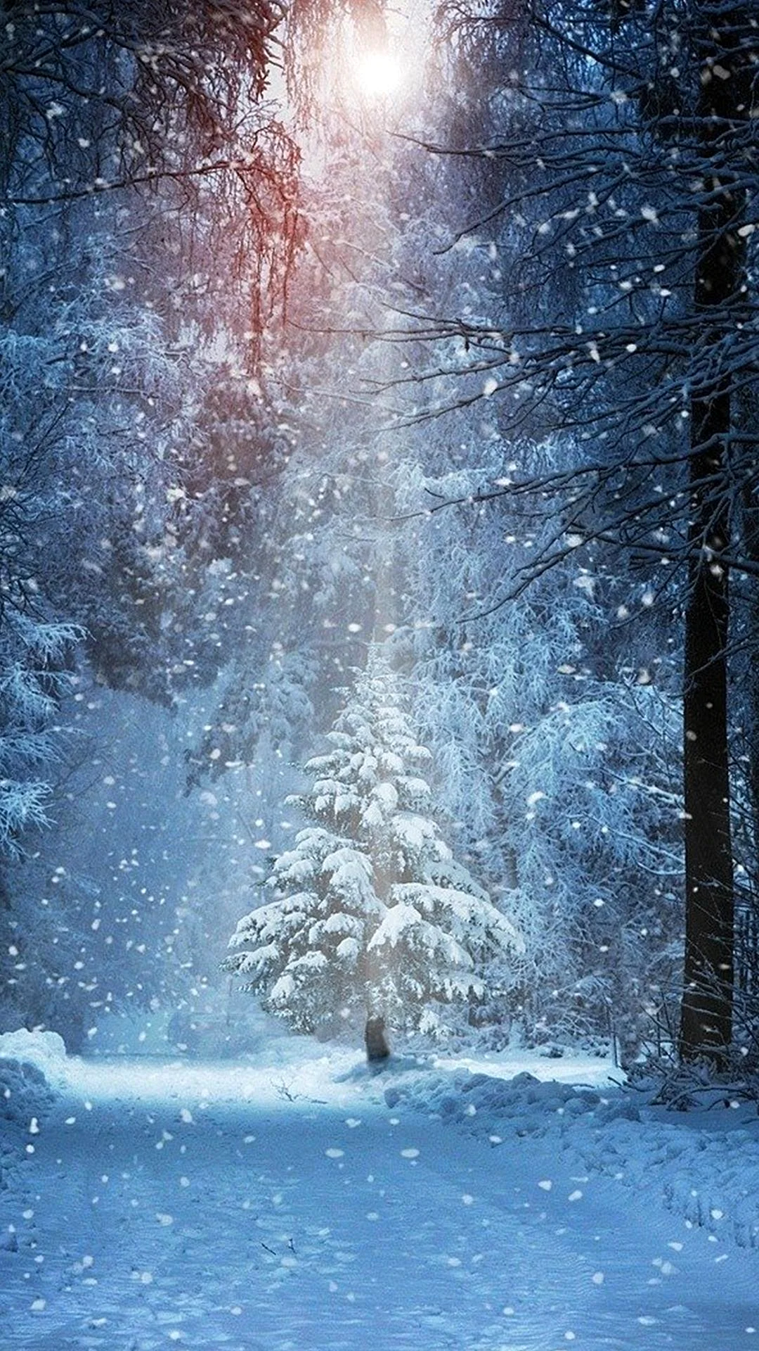Winter Snow Wallpaper For iPhone