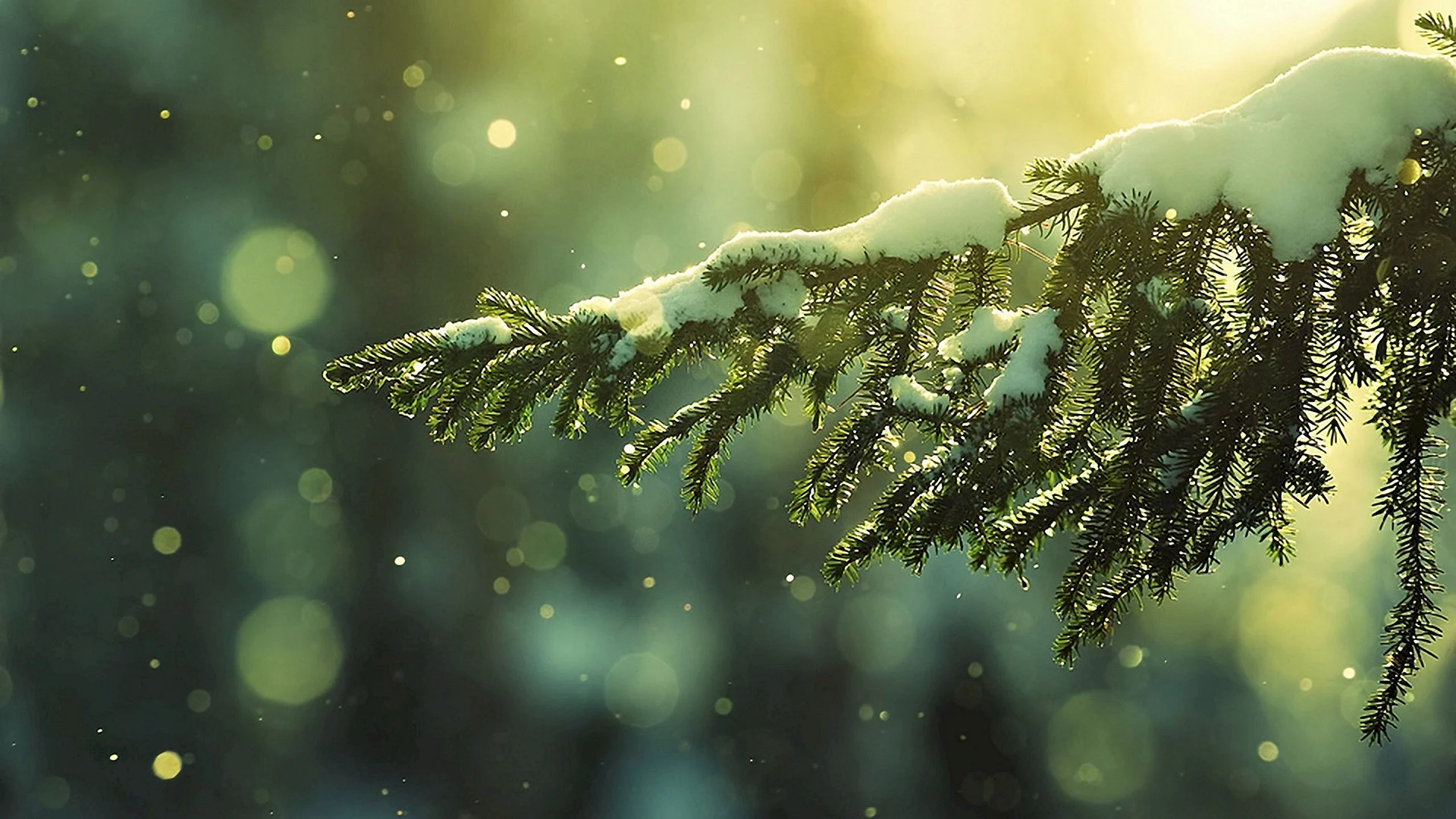 Winter Snow Wallpaper