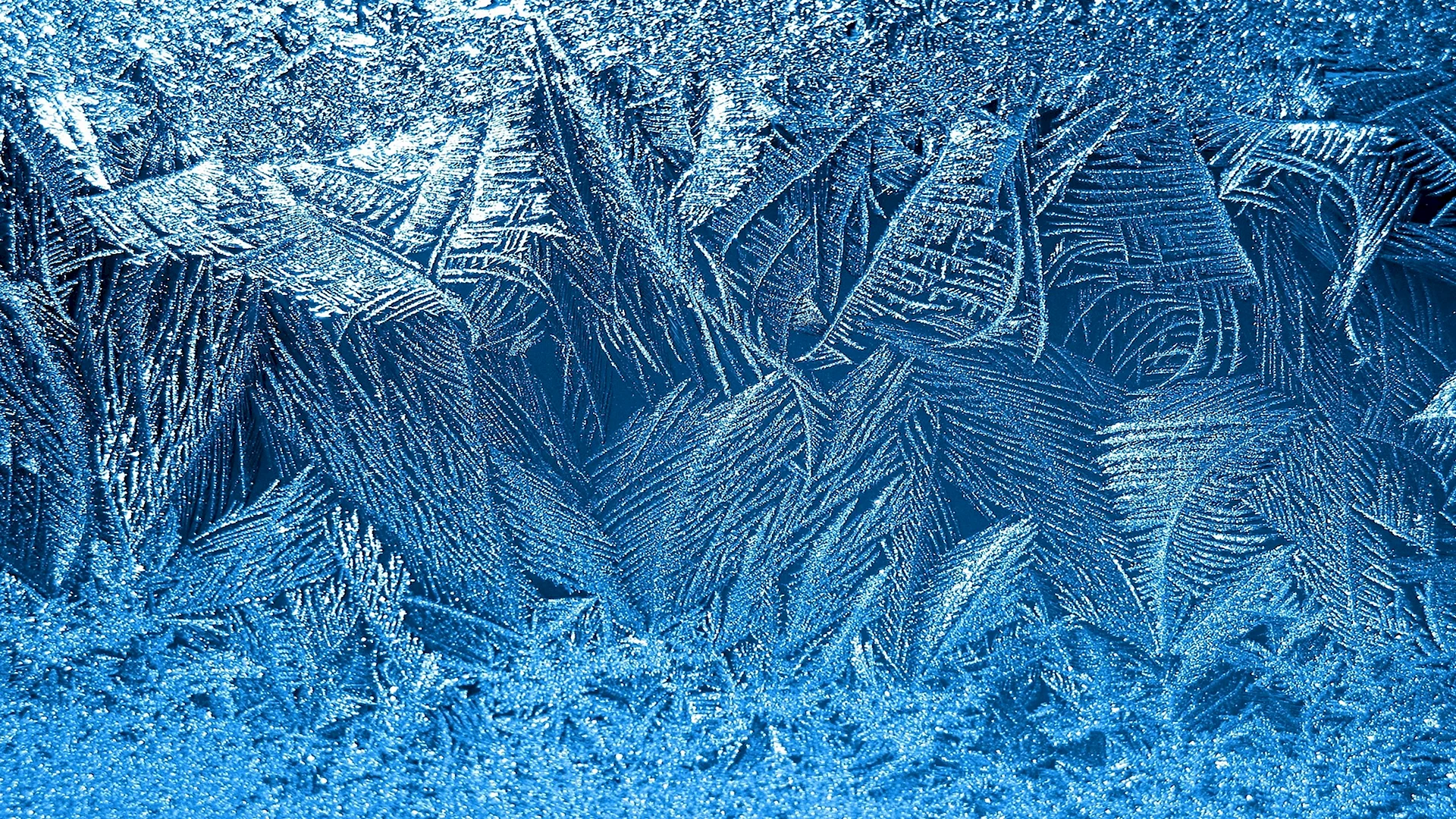 Winter Texture Wallpaper