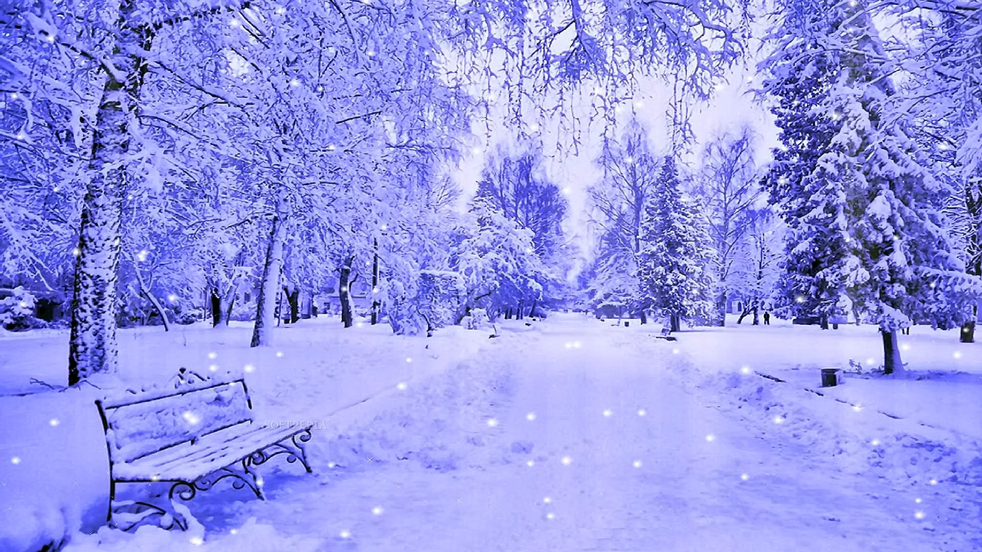 Winter Wallpaper 1920x1080 Wallpaper