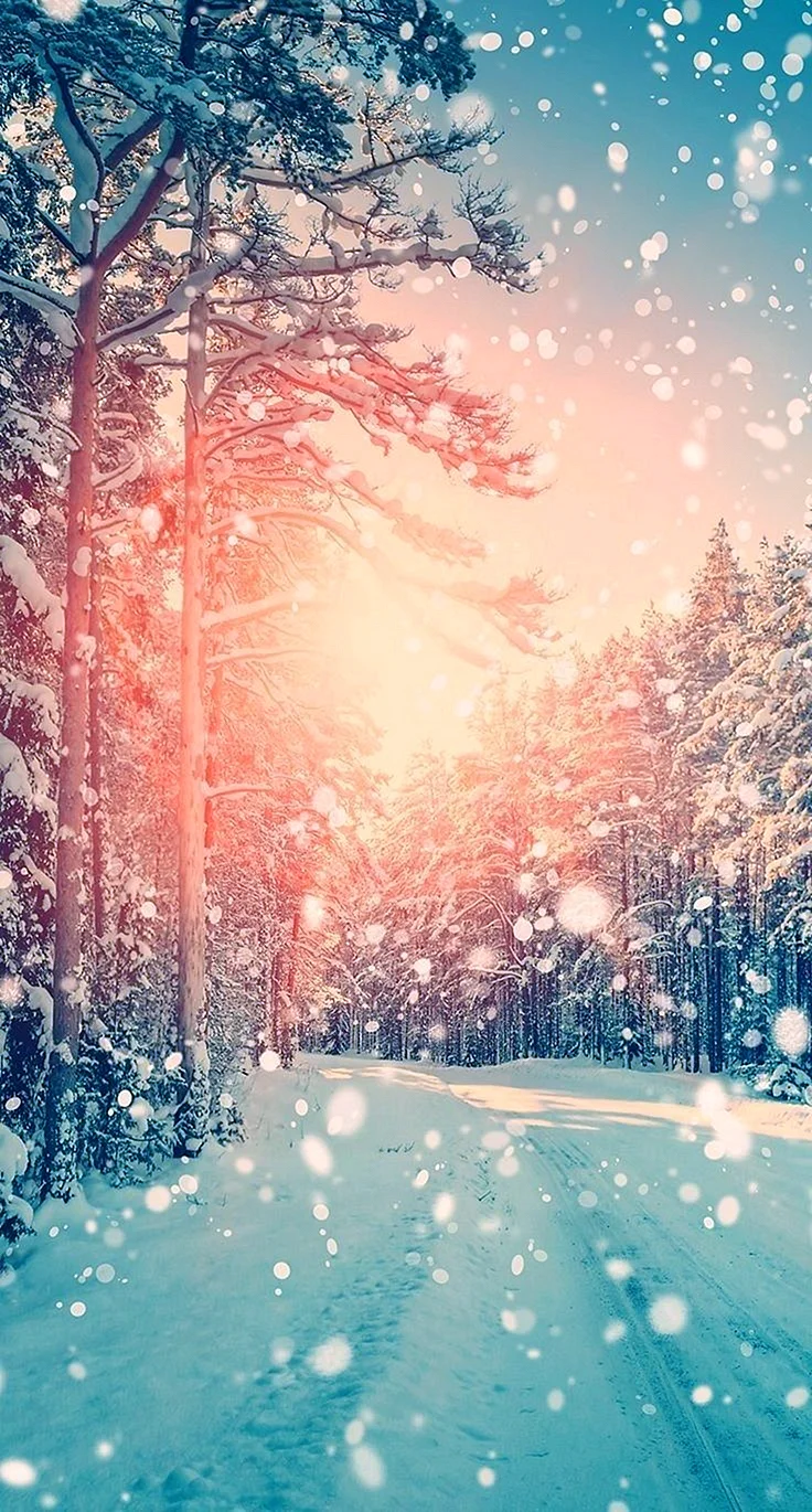 Winter iPhone Wallpaper For iPhone