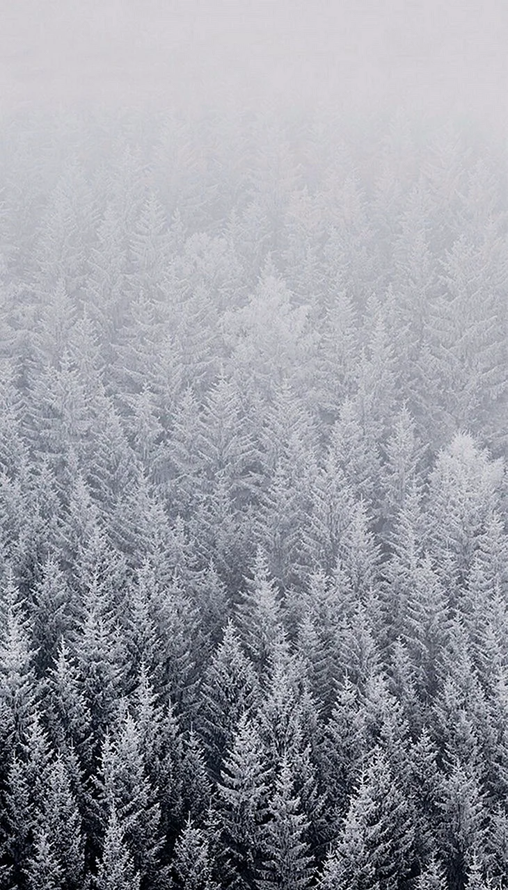 Winter For iPhone Wallpaper For iPhone