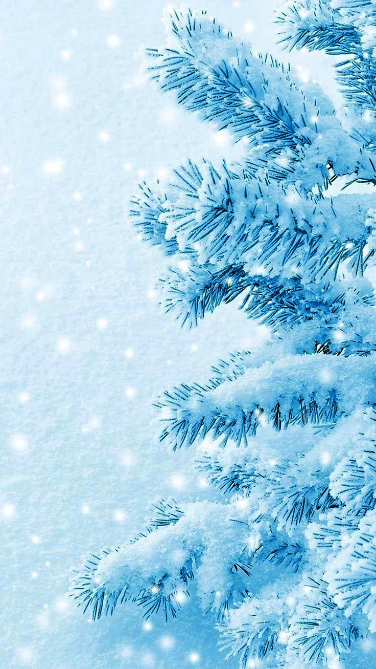 Winter For iPhone Wallpaper For iPhone