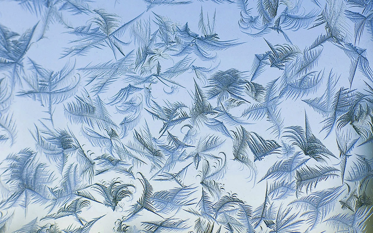 Winter Pattern Wallpaper