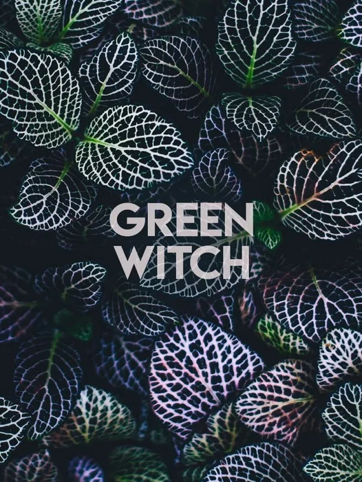Witch Aesthetic Wallpaper Wallpaper