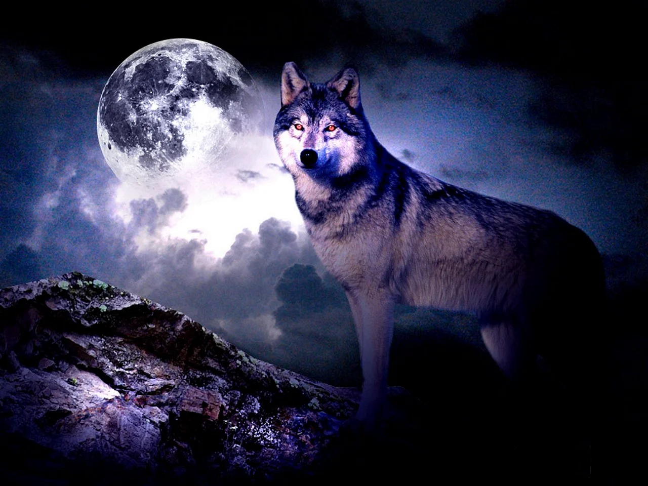 Wolf Wallpaper