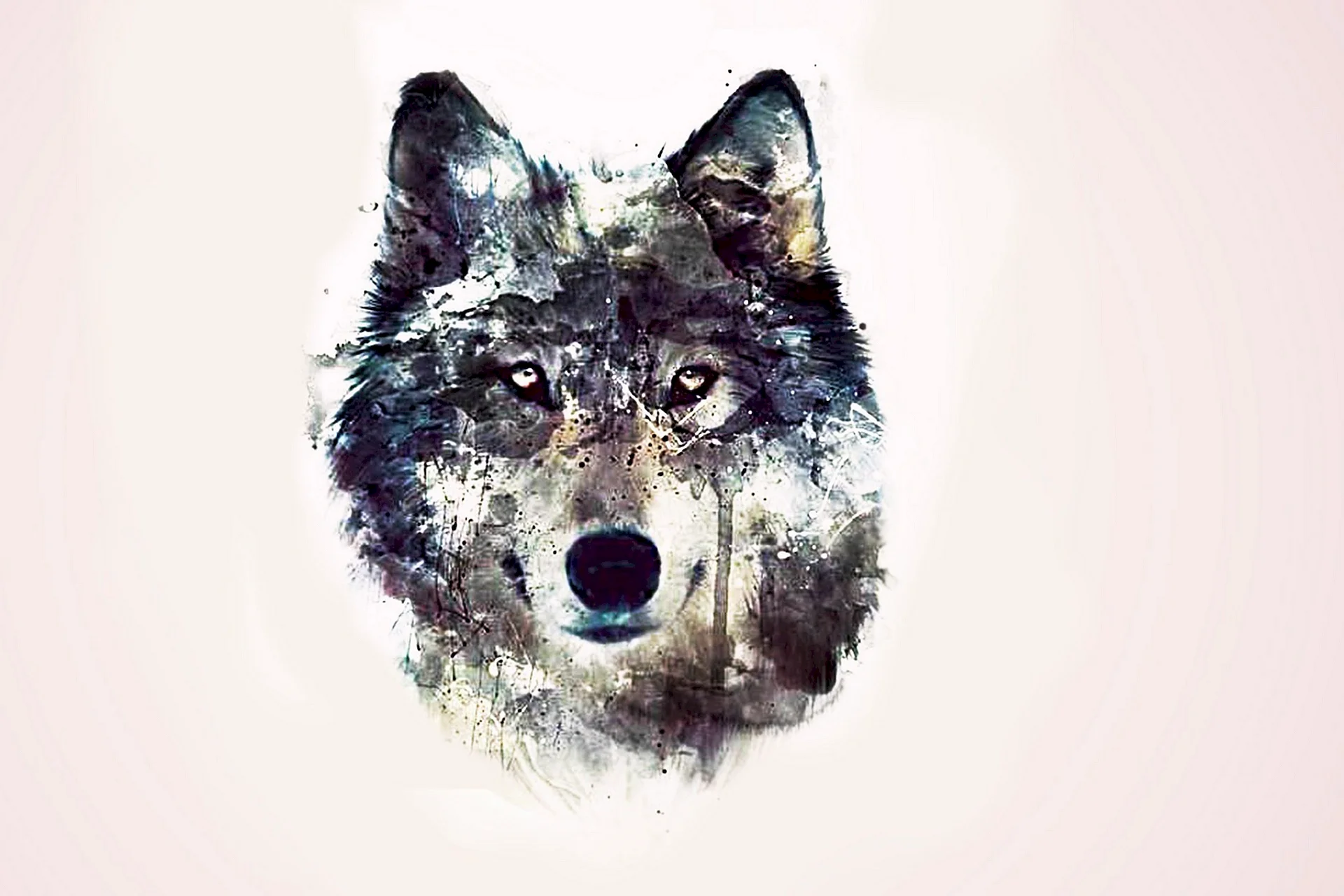 Wolf Art Wallpaper Wallpaper
