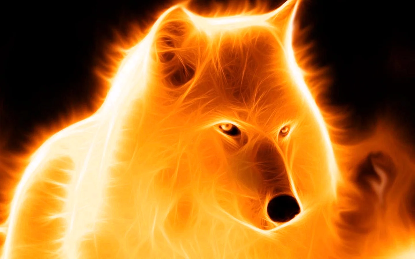 Wolf Fire Wallpaper