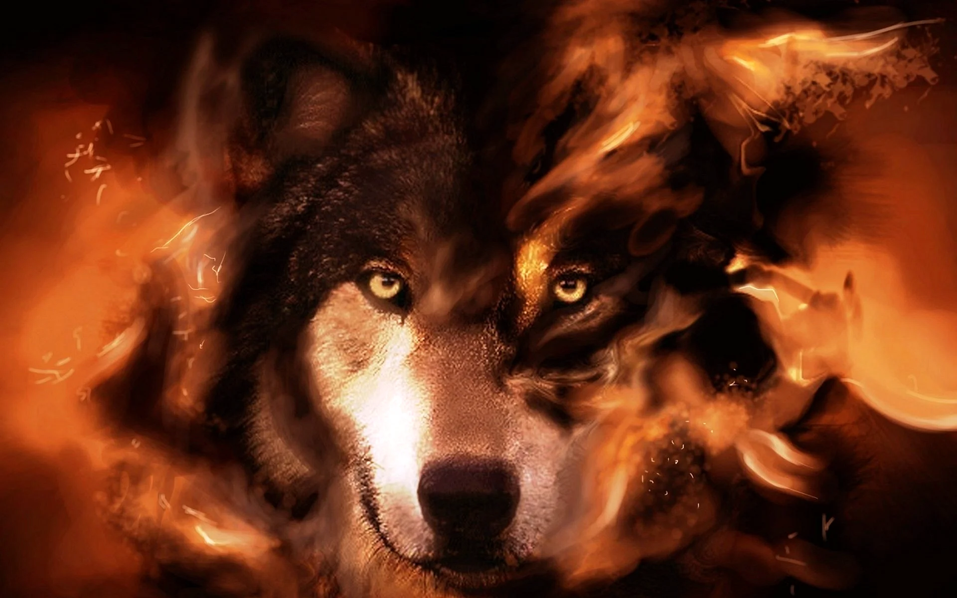 Wolf Fire Wallpaper
