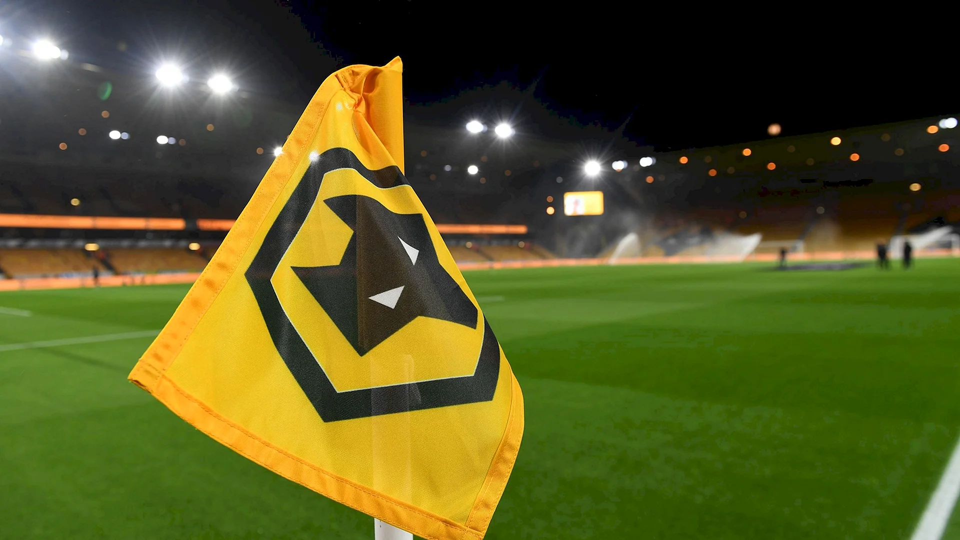 Wolverhampton Wanderers Fc Wallpaper