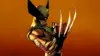 Wolverine Marvel Wallpaper