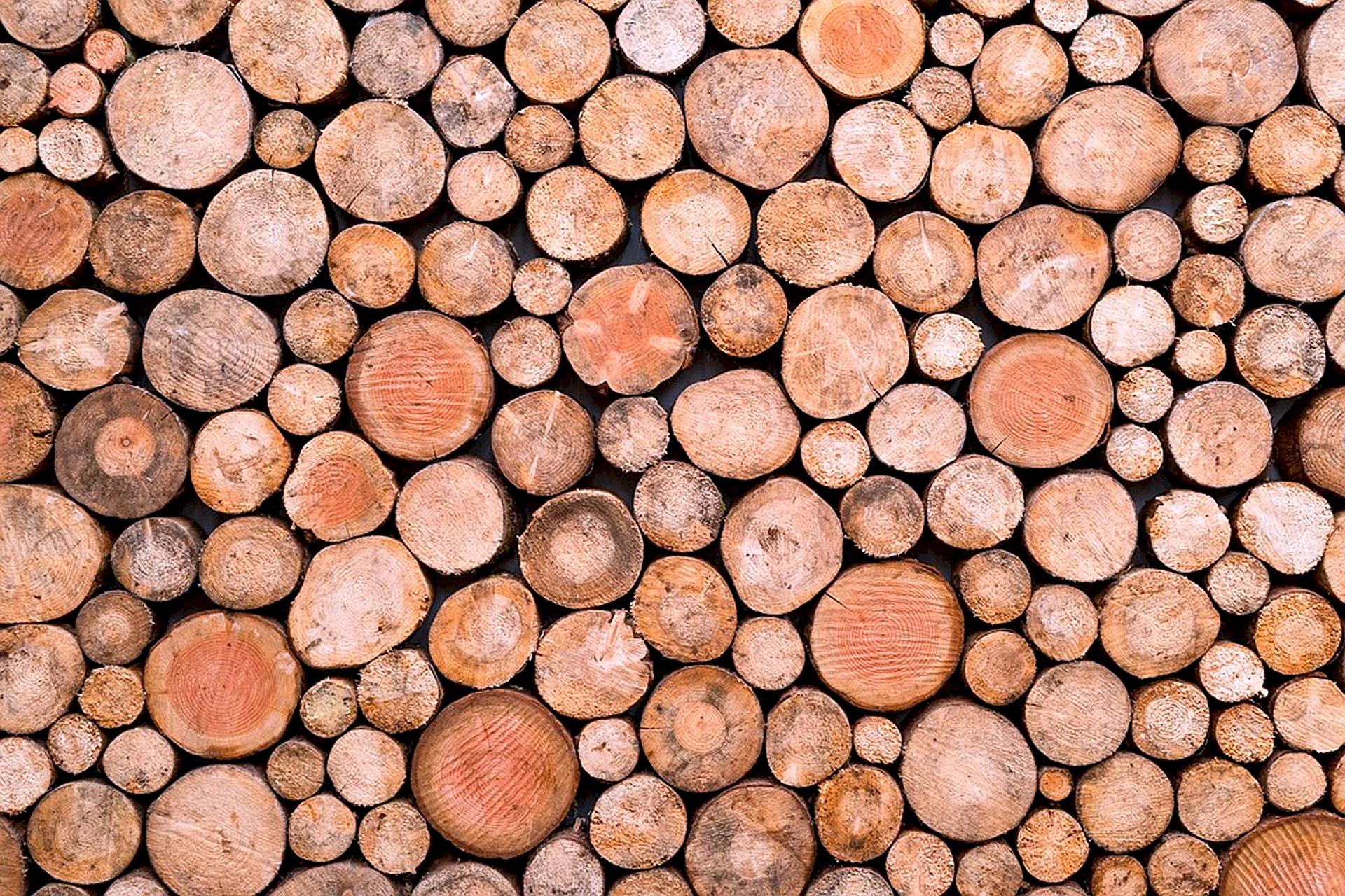 Wood Wallpaper