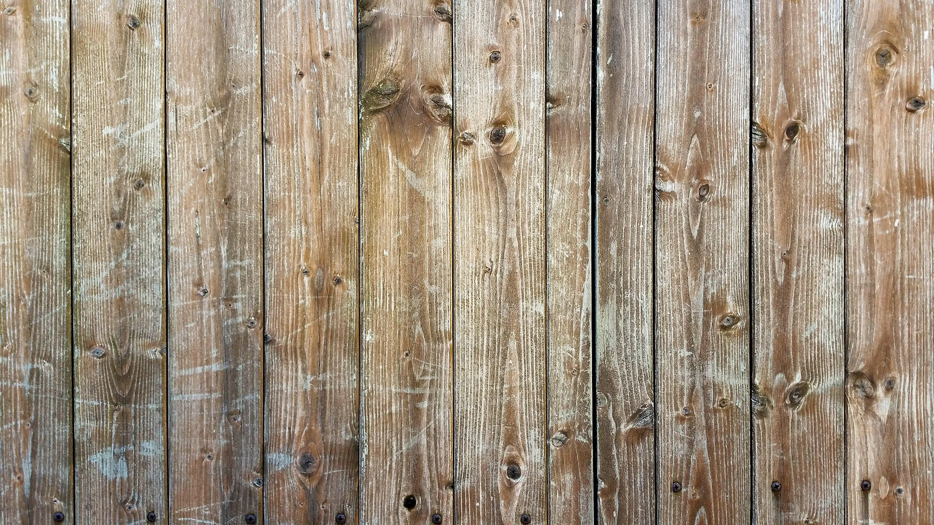Wood Plank Wall Wallpaper