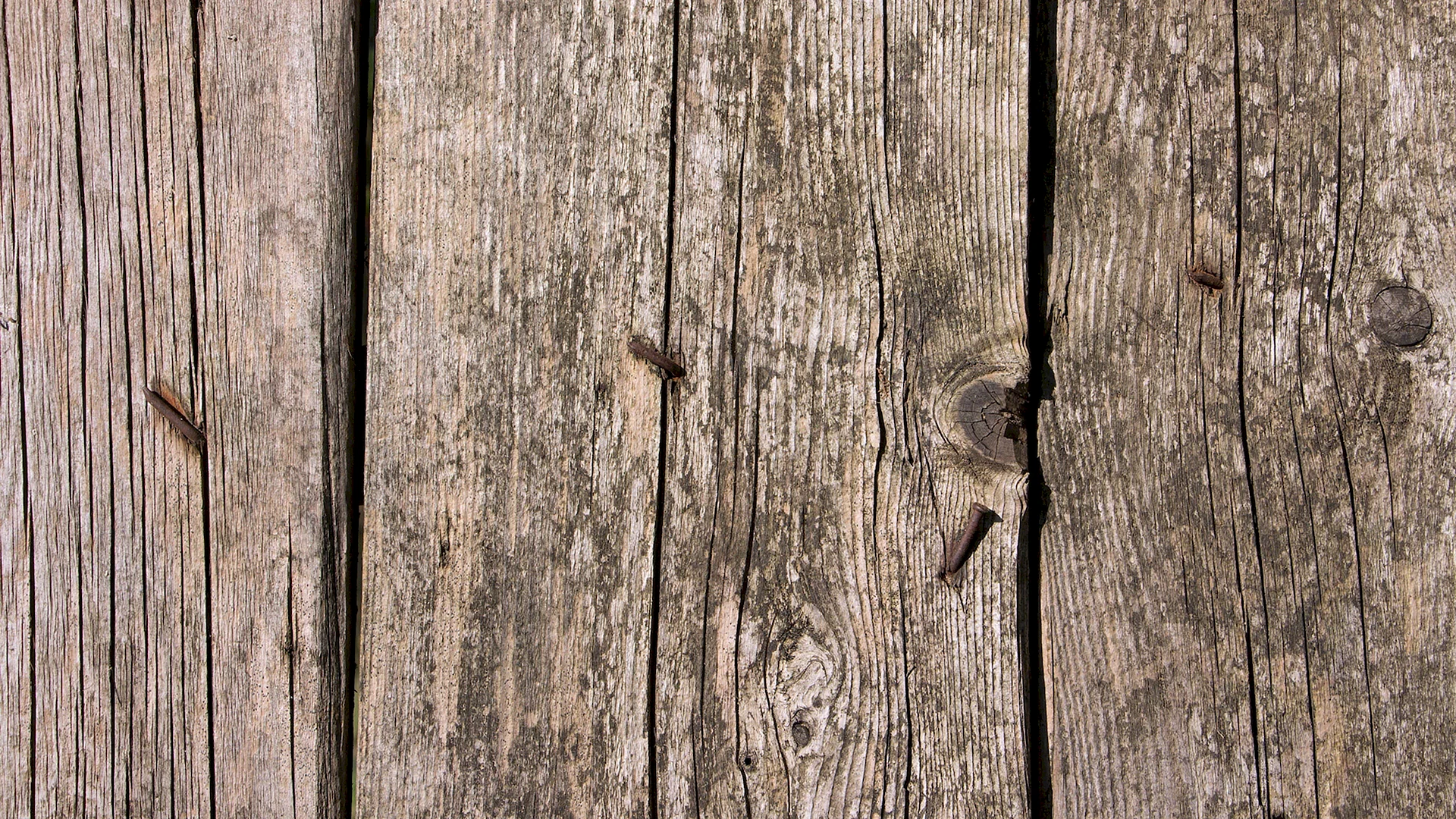 Wood Texture Wallpaper