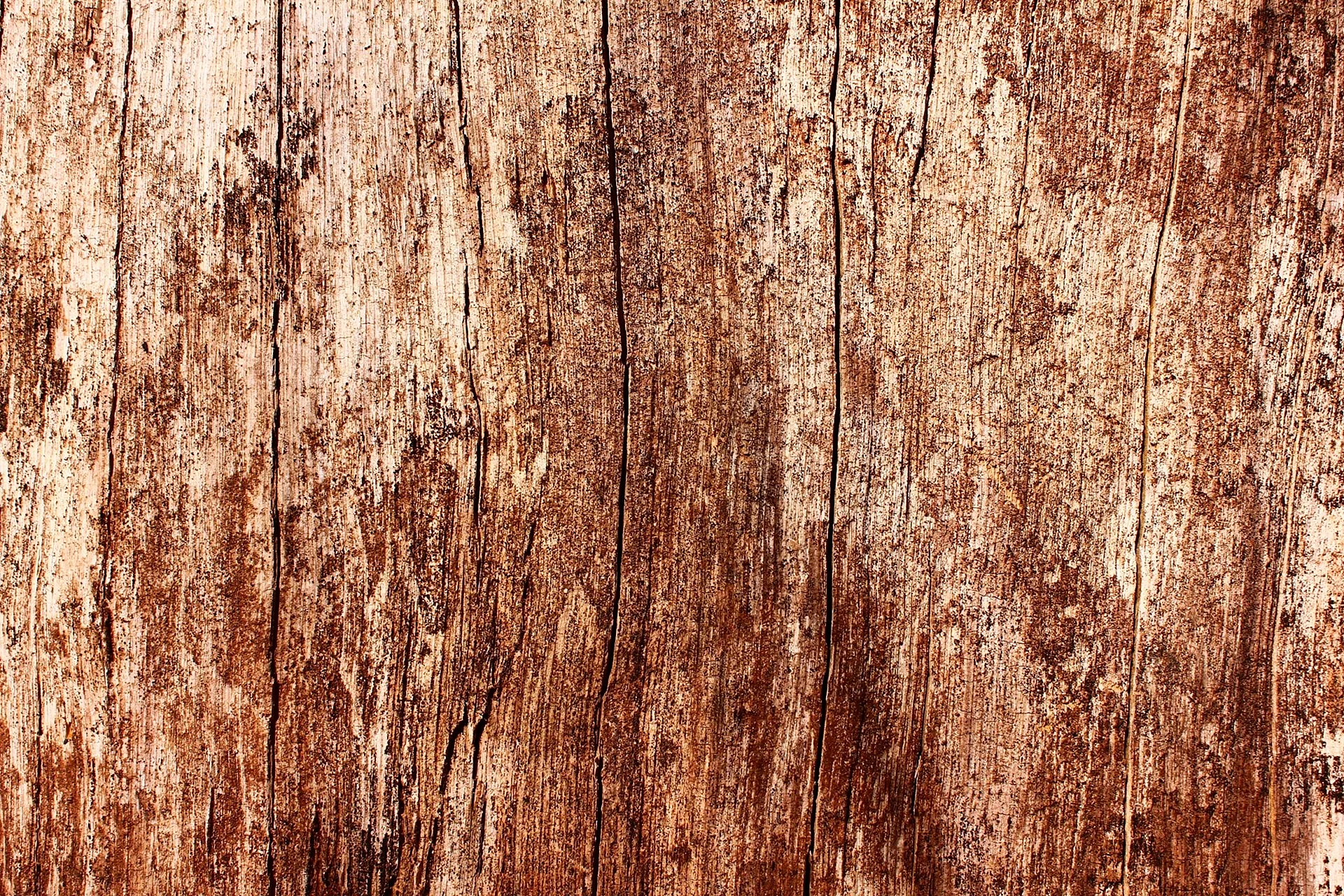 Wood Texture Wallpaper